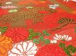 Photo6: 1E07z250  Japanese Kimono Silk UCHIKAKE FABRIC Crane Orange-Red 74.0x14.2 (6)