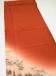 Photo6: 4K05z70  Japanese Kimono Silk  FABRIC Daimyogyoretsu Orange-Brown 48.0x14.6 (6)