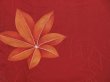 Photo6: 3406T07z850  Japanese Kimono Silk KOMON Maple Red-Brown (6)