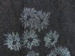 Photo4: 3816T10z600 Vintage Japanese Kimono Silk HAORI Rose Black (4)