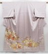 Photo1: 4025T06z1120  Japanese Kimono Silk IROTOMESODE Chrysanthemum Ash purple (1)