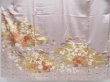 Photo5: 4025T06z1120  Japanese Kimono Silk IROTOMESODE Chrysanthemum Ash purple (5)