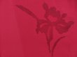 Photo4: 4026T11z320 Vintage Japanese Kimono Silk See through HAORI Flower Dark red (4)