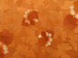 Photo3: 4113T03z530 Vintage Japanese Kimono Silk HAORI Flower Dark orange (3)