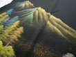 Photo3: 4C02z210  Japanese Kimono Silk  FABRIC Scenery Black 66.9x24.8 (3)