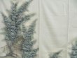 Photo8: 4207T12z970  Japanese Kimono Silk TSUKESAGE Scenery Celadon (8)