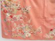 Photo6: 4224T09z570 Vintage Japanese Kimono Silk TSUKESAGE Chrysanthemum Coral pink (6)