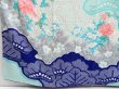 Photo4: 4309T06z1060 Vintage Japanese Kimono Silk FURISODE Peony Dull cyan (4)