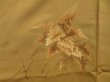 Photo4: 4324T05z620 Vintage Japanese Kimono Silk HAORI Leaf Yellow ochre (4)