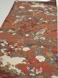 Photo3: 2K02z60  Japanese Kimono Silk  FABRIC Peacock Red-Brown 39.4x14.6 (3)