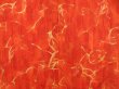 Photo3: 4407T12z540 Vintage Japanese Kimono Silk HAORI Leaf Orangered (3)