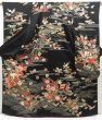 Photo1: 4421T12z1620  Japanese Kimono Silk FURISODE Royal cart Black (1)