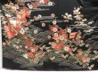 Photo5: 4421T12z1620  Japanese Kimono Silk FURISODE Royal cart Black (5)