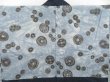 Photo2: 4423T09z530 Vintage Japanese Kimono Silk Men's HAORI Old coins Navy (2)