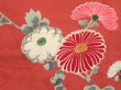 Photo5: 4429T11z810 Antique Japanese Kimono Silk KOMON Plum blossom Dull red (5)