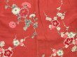 Photo6: 4429T11z810 Antique Japanese Kimono Silk KOMON Plum blossom Dull red (6)