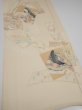 Photo2: 2N05z90  Japanese Kimono Silk  FABRIC Princess Light cream 66.9x14.2 (2)