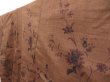 Photo2: 4510T13z860 Vintage Japanese Kimono Silk TSUMUGI Light brown (2)