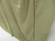 Photo4: 4517T13z950  Japanese Kimono Silk IROTOMESODE  Pistachio green (4)