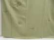 Photo6: 4517T13z950  Japanese Kimono Silk IROTOMESODE  Pistachio green (6)