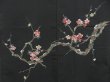 Photo3: 4518T13z610 Vintage Japanese Kimono Silk HAORI Plum branch Black (3)