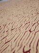 Photo2: 2U01z70  Japanese Kimono Silk  FABRIC Shibori Cream 47.2x14.4 (2)