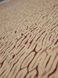 Photo4: 2U06z100  Japanese Kimono Silk  FABRIC Shibori Cream 65.4x14.6 (4)