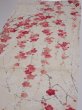 Photo3: 2U01z70  Japanese Kimono Silk  FABRIC Plum branch Off-white 47.2x14.2 (3)