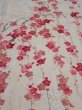 Photo1: 2U02z70  Japanese Kimono Silk  FABRIC Plum branch Off-white 46.5x14.2 (1)