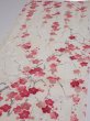 Photo3: 2U02z70  Japanese Kimono Silk  FABRIC Plum branch Off-white 46.5x14.2 (3)