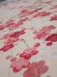 Photo4: 2U02z70  Japanese Kimono Silk  FABRIC Plum branch Off-white 46.5x14.2 (4)