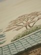 Photo4: 2A01z60  Japanese Kimono Silk  FABRIC Dry garden Champagne 40.9x14.6 (4)