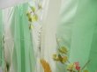 Photo2: 4611T11z1180 Vintage Japanese Kimono Silk FURISODE Bird Light green (2)