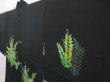 Photo2: 4618T01z590 Vintage Japanese Kimono Silk HAORI Plants Black (2)