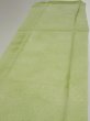 Photo3: 4D04z80  Japanese Kimono Silk  FABRIC Pine branch Light green 63.0x14.2 (3)