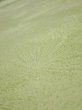 Photo4: 4D04z80  Japanese Kimono Silk  FABRIC Pine branch Light green 63.0x14.2 (4)