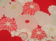 Photo4: 4622T14z420 Antique Japanese Kimono Silk JUBAN Chrysanthemum Red (4)