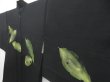 Photo2: 4702T05z580 Vintage Japanese Kimono Silk HAORI Leaf Black (2)