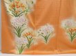 Photo6: 4804T07z980  Japanese Kimono Silk TSUKESAGE Flower Dark orange (6)