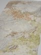 Photo3: 1V02z60  Japanese Kimono Silk  FABRIC Branch Off-white 42.9x15.0 (3)