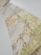 Photo1: 1V09z60  Japanese Kimono Silk  FABRIC Branch Off-white 87.4x7.3 (1)