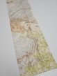 Photo2: 1V10z30  Japanese Kimono Silk  FABRIC Branch Off-white 34.3x7.3 (2)