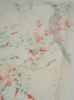 Photo3: 2R02z60  Japanese Kimono Silk  FABRIC Plum tree Off-white 42.1x14.6 (3)