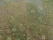 Photo3: 4819T04z570 Vintage Japanese Kimono Silk HAORI Flowers Grass green (3)