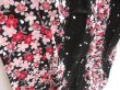 Photo3: 4917T12z460  Japanese Kimono Cotton YUKATA Sakura Black (3)