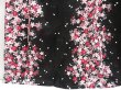 Photo4: 4917T12z460  Japanese Kimono Cotton YUKATA Sakura Black (4)