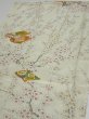 Photo3: 2E02z60  Japanese Kimono Silk  FABRIC Plum branch Lime-white 42.1x14.8 (3)