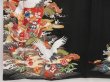 Photo6: 4928T13z680 Antique Japanese Kimono Silk TOMESODE Flying crane Black (6)