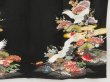 Photo7: 4928T13z680 Antique Japanese Kimono Silk TOMESODE Flying crane Black (7)