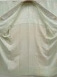 Photo7: 5003T01z510  Japanese Kimono Silk JUBAN Sakura Soft green (7)